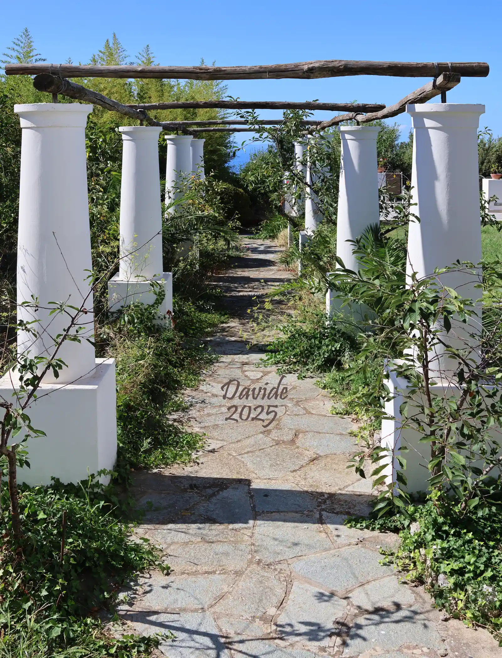 Anacapri (Naples, Campania – Island of Capri, Italy). Hotel Bellavista; rear pergola. Photograph by Davide (August 2025). © Davide Tansini