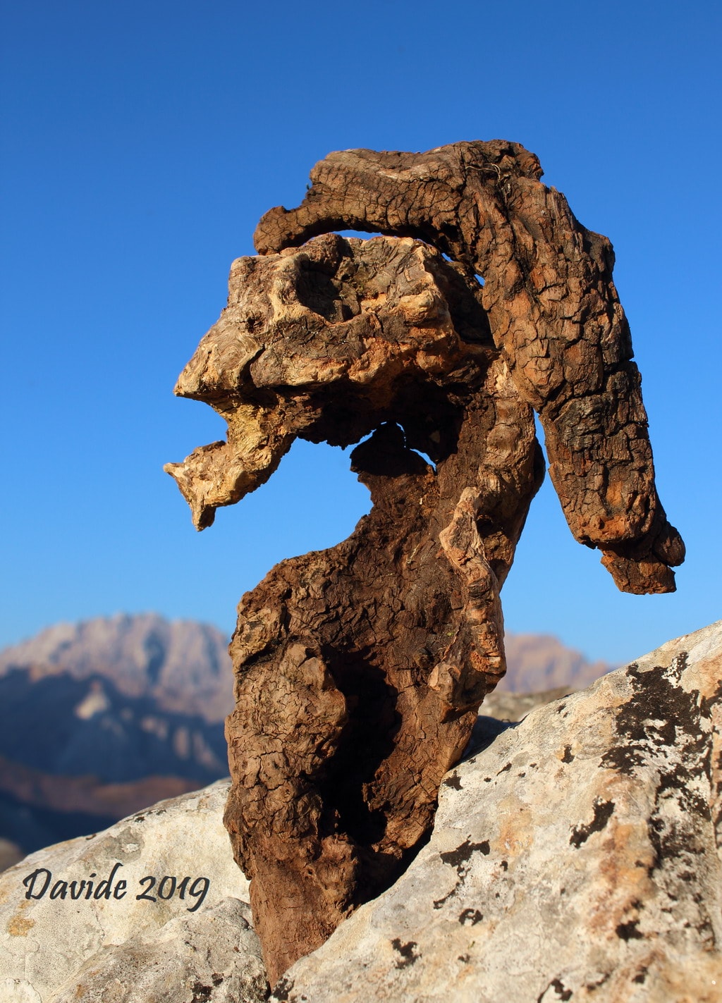 Davide Tansini, “Formas elusivas #28 – Monte Brugiana” [“Forme sfuggenti #28 – Monte Brugiana”], Massa (Massa y Carrara, Toscana – Lunigiana, Italia), marzo de 2019. © Davide Tansini