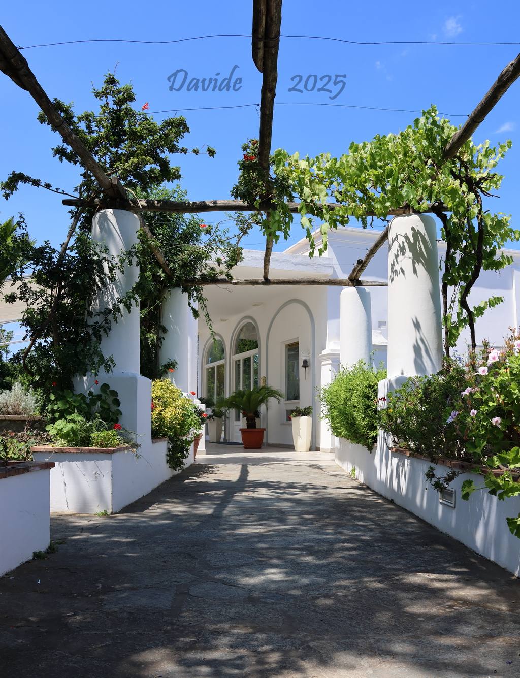 Anacapri (Napoli, Campania – Isola di Capri, Italia). Hotel Bellavista: pergolato dell’ingresso. Fotografia di Davide (luglio 2025). © Davide Tansini