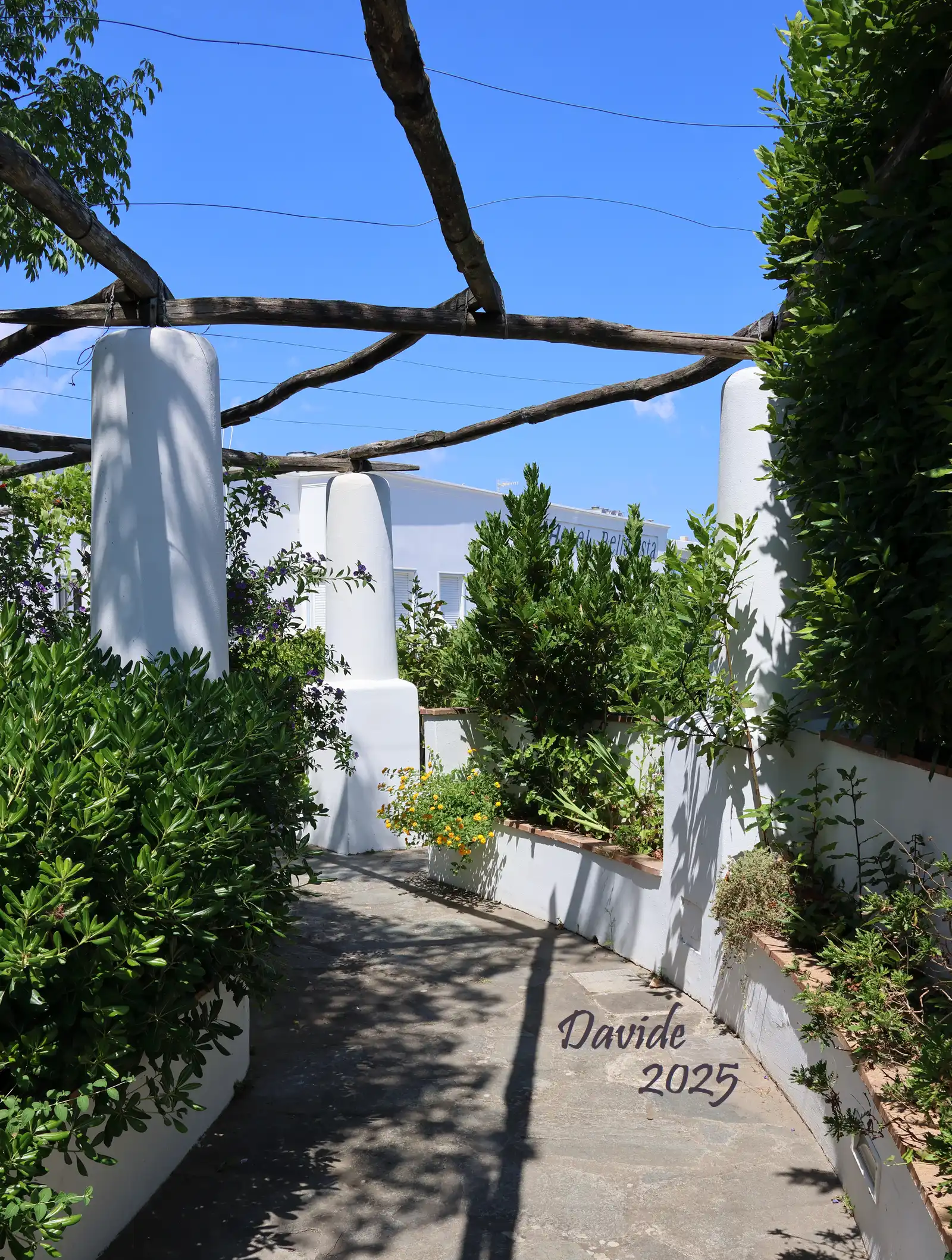 Anacapri (Napoli, Campania – Isola di Capri, Italia). Hotel Bellavista: pergolato dell’ingresso. Fotografia di Davide (luglio 2025). © Davide Tansini