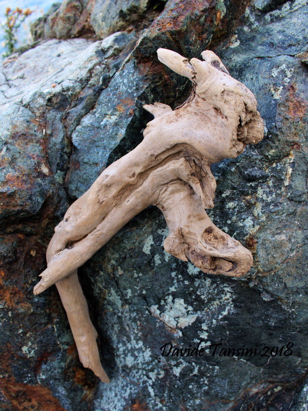 Davide, “Forme sfuggenti #10 – Punta Mesco”, Monterosso al Mare (La Spezia, Liguria – Cinque Terre, Italia), luglio 2018. © Davide Tansini