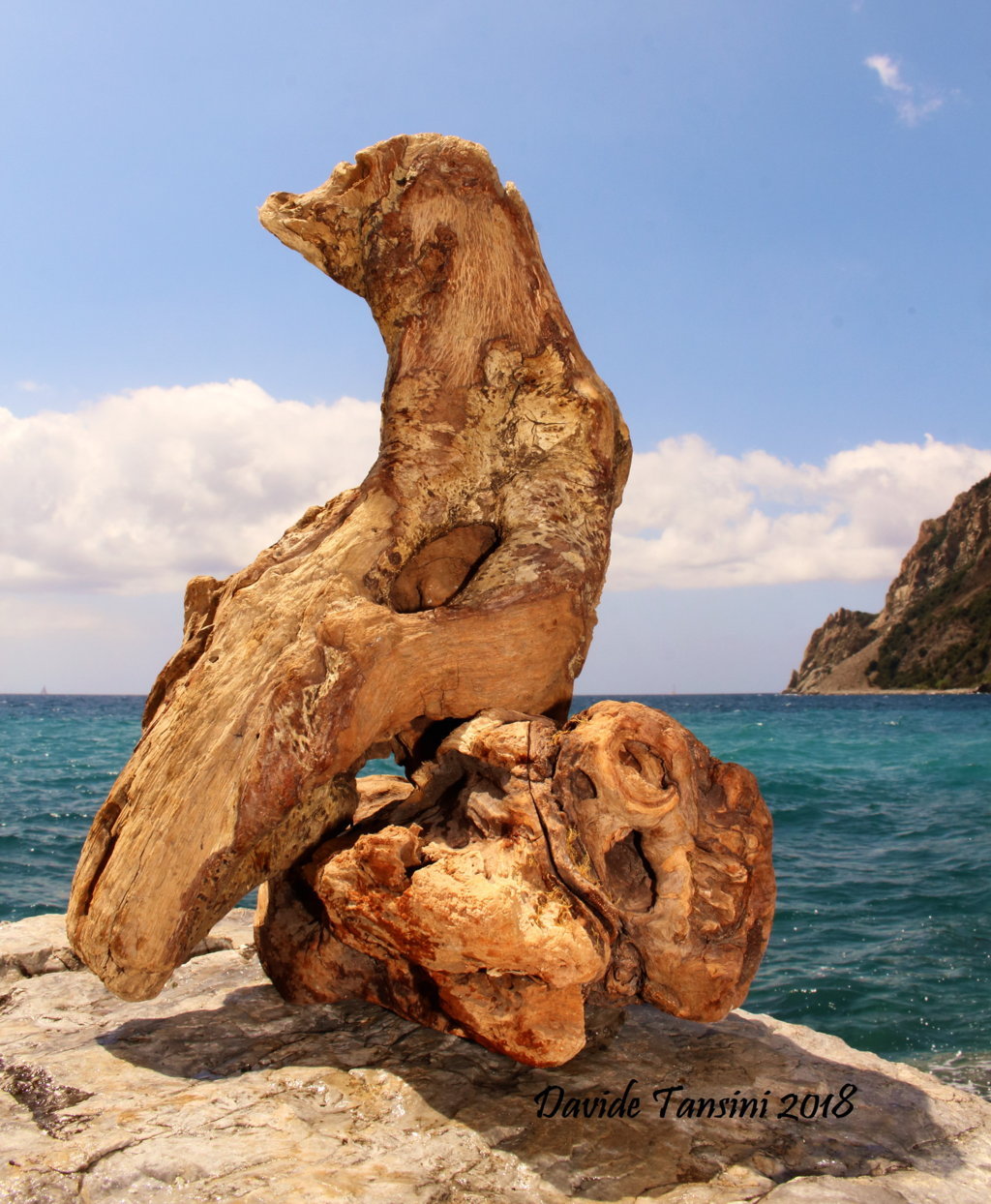 Davide, “Forme sfuggenti #10 – Punta Mesco”, Monterosso al Mare (La Spezia, Liguria – Cinque Terre, Italia), luglio 2018. © Davide Tansini