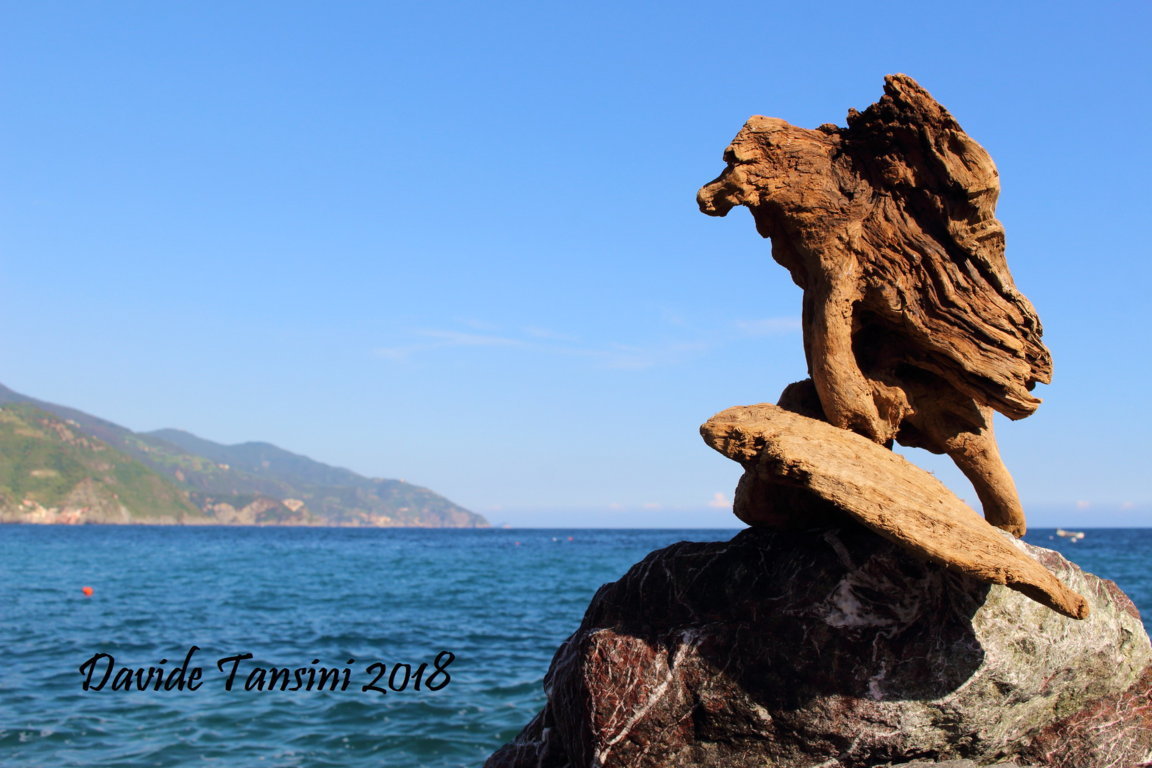 Davide, “Forme sfuggenti #10 – Punta Mesco”, Monterosso al Mare (La Spezia, Liguria – Cinque terre, Italia), luglio 2018. © Davide Tansini