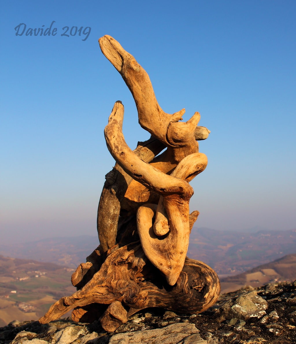 Davide, “Forme sfuggenti #23 – Pietra Perduca”, Travo (Piacenza, Emilia-Romagna – Valtrebbia, Italia), febbraio 2019. © Davide Tansini