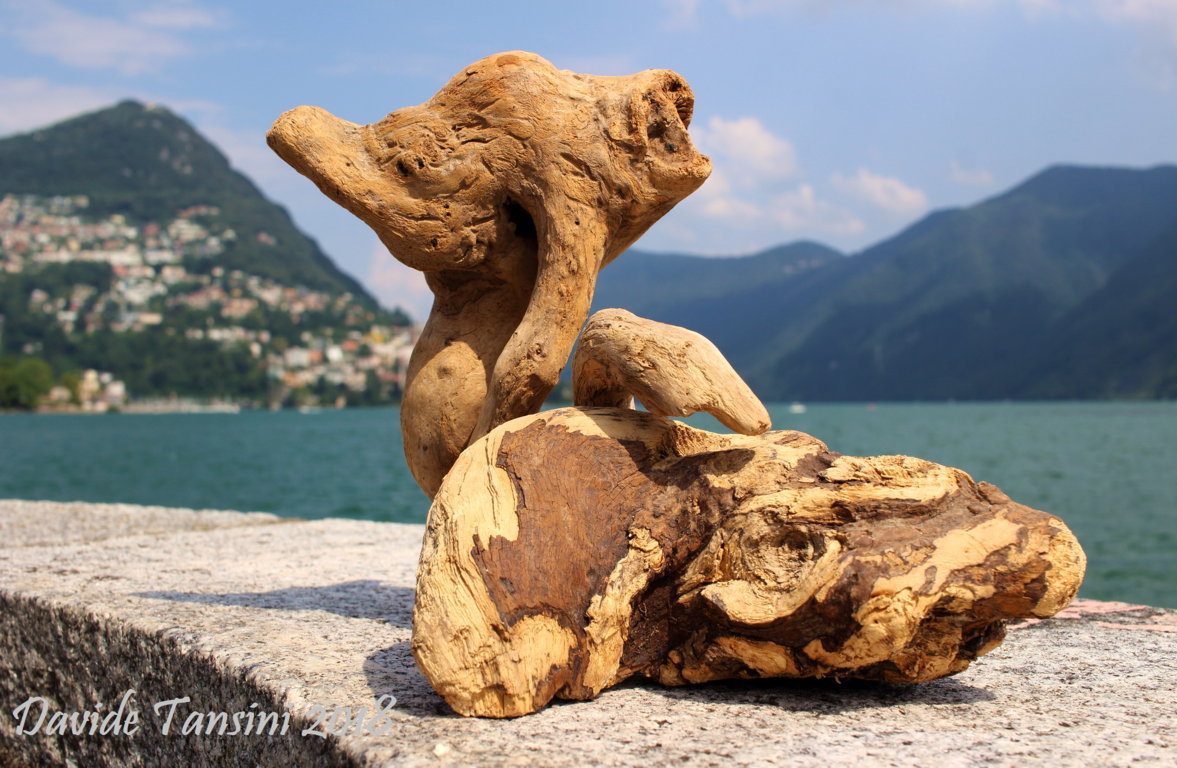 Davide, “Forme sfuggenti #6 – Lago di Lugano”, Lugano (Ticino – Svizzera), aprile 2018. © Davide Tansini