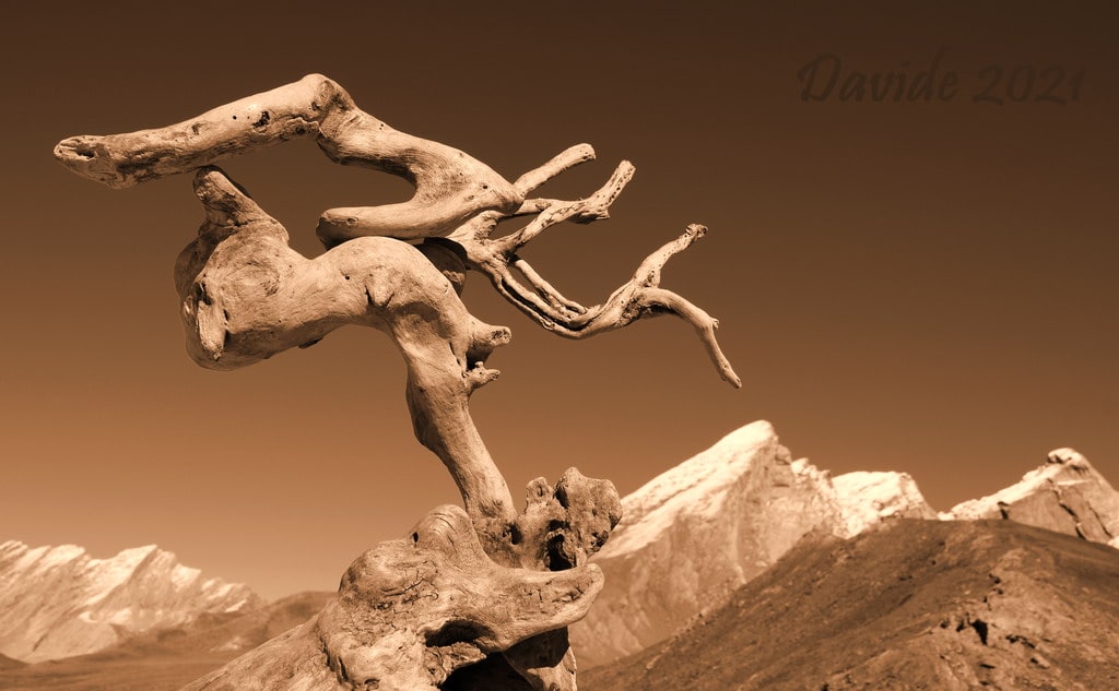 Davide, “Forme sfuggenti #84 – Col Agnel”, Molines-en-Queyras (Alte Alpi, Provenza-Alpi-Costa Azzurra – Francia), agosto 2021. © Davide Tansini