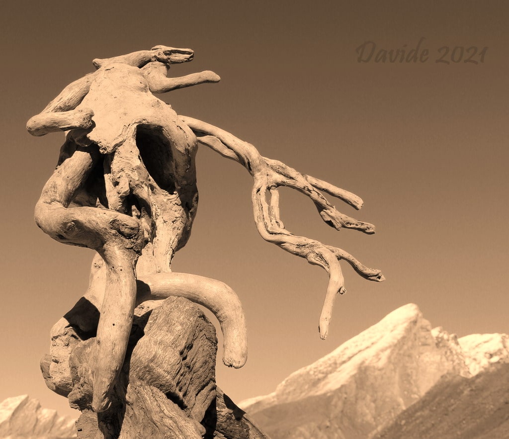 Davide, “Forme sfuggenti #84 – Col Agnel”, Molines-en-Queyras (Alte Alpi, Provenza-Alpi-Costa Azzurra – Francia), agosto 2021. © Davide Tansini