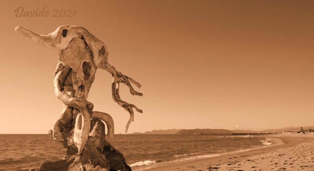 Davide, “Forme sfuggenti #87 – Le dune”, Forte dei Marmi (Lucca, Toscana – Versilia, Italia), ottobre 2021. © Davide Tansini