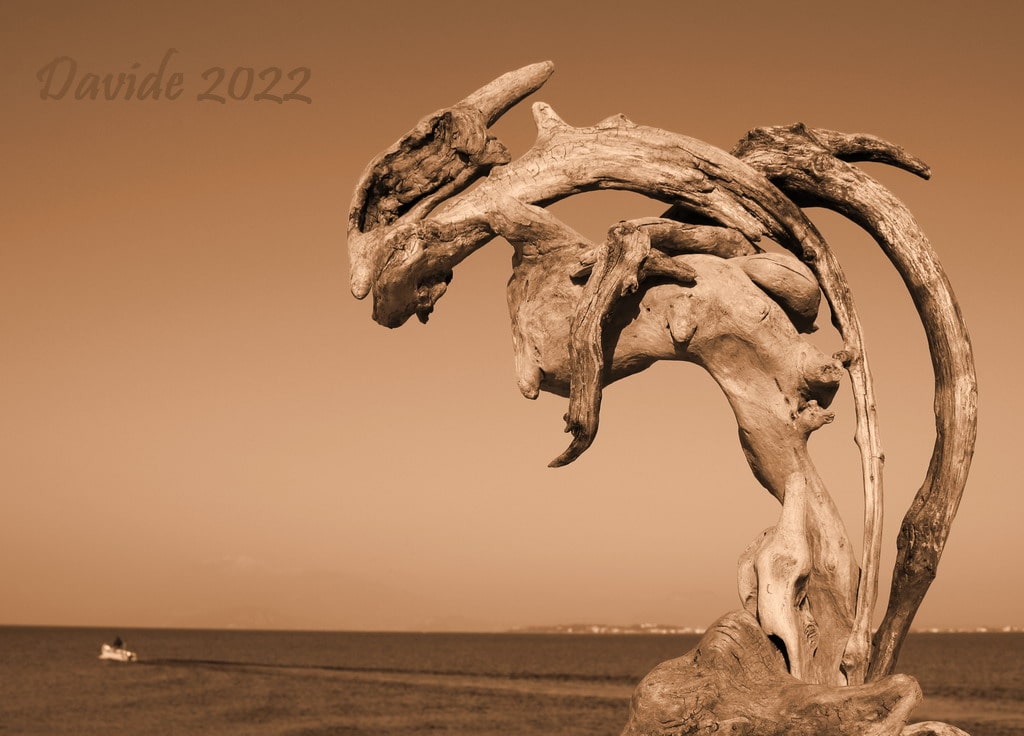 Davide, “Forme sfuggenti #91 – La darsena”, Desenzano del Garda (Brescia, Lombardia – Lago Benaco, Italia), marzo 2022. © Davide Tansini