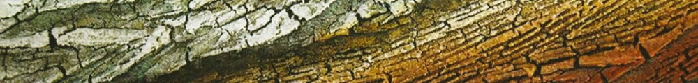 Mario Paschetta, “Terre di confine”, 2007, tecnica mista (particolare rielaborato)