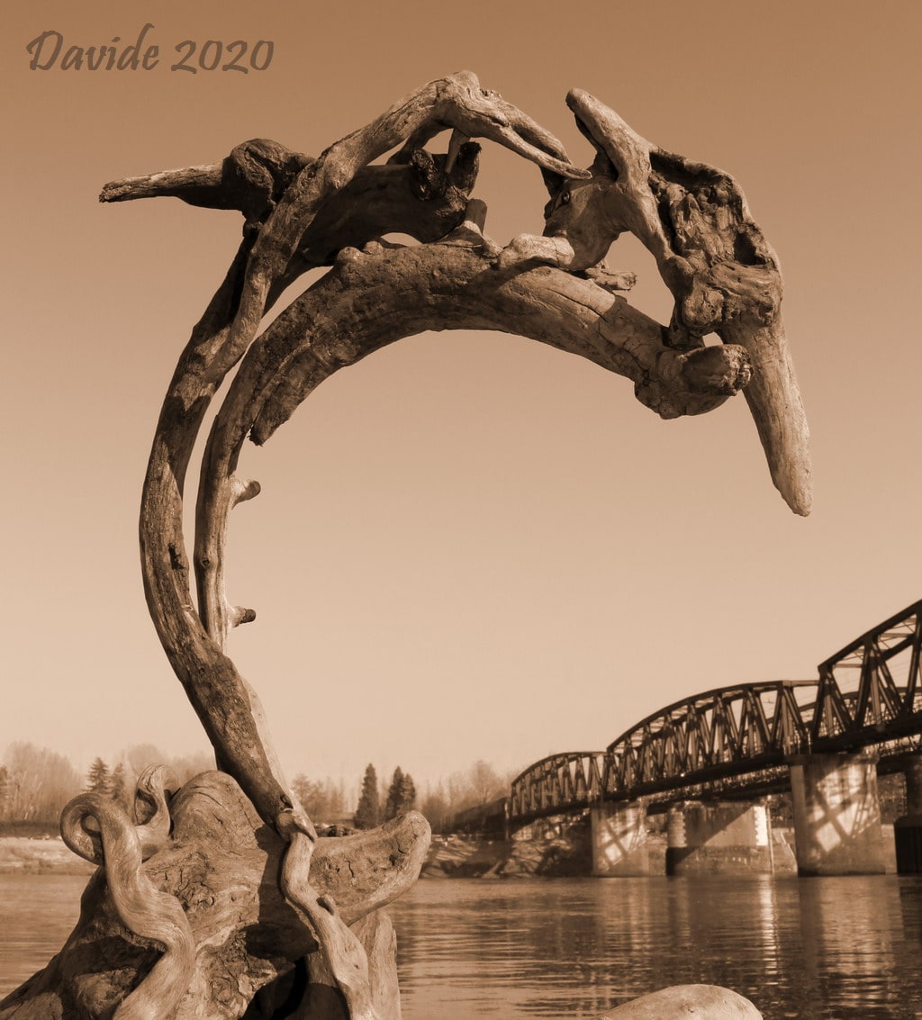 Erminio Tansini, “Forme sfuggenti #47 – Ponte di Cremona”, Castelvetro Piacentino (Piacenza, Emilia-Romagna – Italia), gennaio 2020. © Davide Tansini