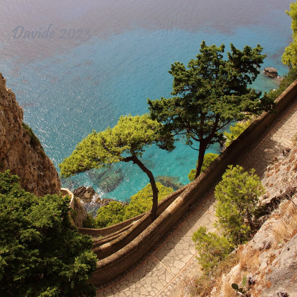 Isola di Capri (Napoli, Campania – Arcipelago Campano, Italia). Tornanti di Via Krupp e coppia di pini. Fotografia di Davide (settembre 2023). © Davide Tansini